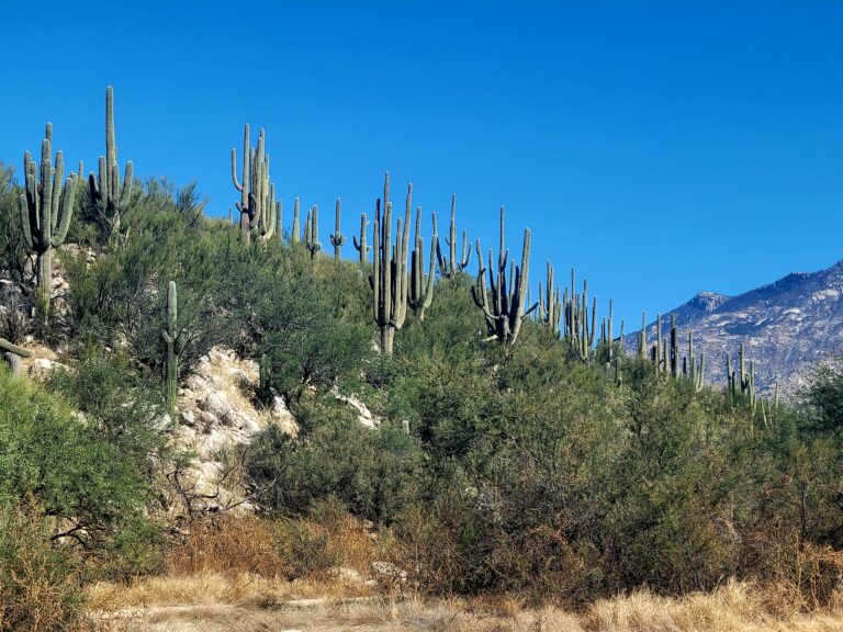 Loop Ride Northwest thru Oro Valley