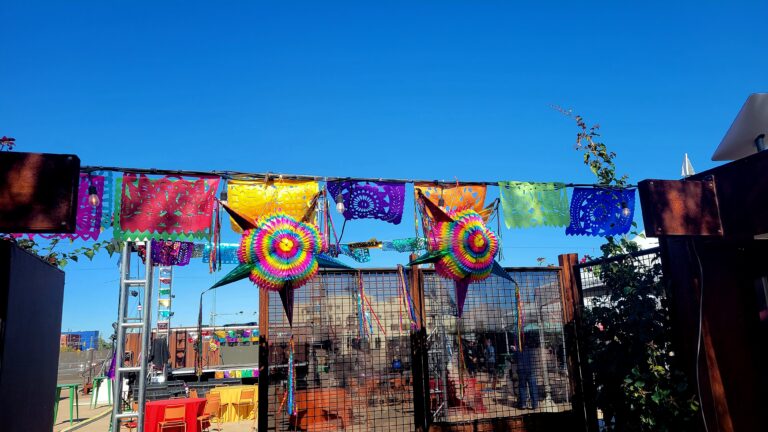 Take the Loop Downtown